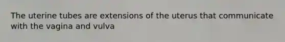 The uterine tubes are extensions of the uterus that communicate with the vagina and vulva