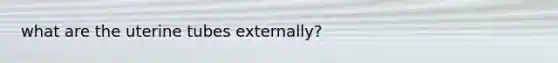 what are the uterine tubes externally?