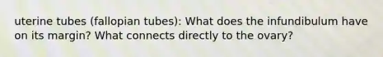 uterine tubes (fallopian tubes): What does the infundibulum have on its margin? What connects directly to the ovary?