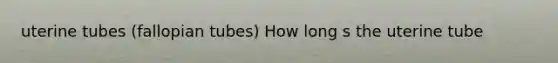 uterine tubes (fallopian tubes) How long s the uterine tube