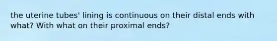 the uterine tubes' lining is continuous on their distal ends with what? With what on their proximal ends?