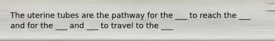 The uterine tubes are the pathway for the ___ to reach the ___ and for the ___ and ___ to travel to the ___