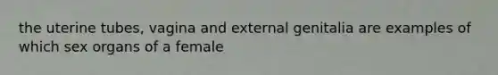 the uterine tubes, vagina and external genitalia are examples of which sex organs of a female