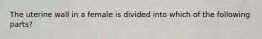 The uterine wall in a female is divided into which of the following parts?