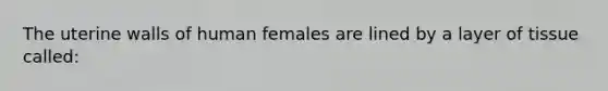 The uterine walls of human females are lined by a layer of tissue called: