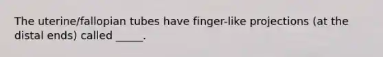 The uterine/fallopian tubes have finger-like projections (at the distal ends) called _____.