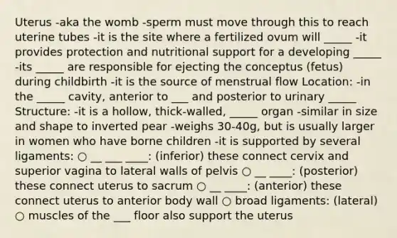 Uterus -aka the womb -sperm must move through this to reach uterine tubes -it is the site where a fertilized ovum will _____ -it provides protection and nutritional support for a developing _____ -its _____ are responsible for ejecting the conceptus (fetus) during childbirth -it is the source of menstrual flow Location: -in the _____ cavity, anterior to ___ and posterior to urinary _____ Structure: -it is a hollow, thick-walled, _____ organ -similar in size and shape to inverted pear -weighs 30-40g, but is usually larger in women who have borne children -it is supported by several ligaments: ○ __ ___ ____: (inferior) these connect cervix and superior vagina to lateral walls of pelvis ○ __ ____: (posterior) these connect uterus to sacrum ○ __ ____: (anterior) these connect uterus to anterior body wall ○ broad ligaments: (lateral) ○ muscles of the ___ floor also support the uterus