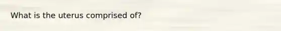 What is the uterus comprised of?