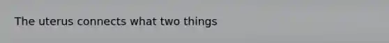 The uterus connects what two things