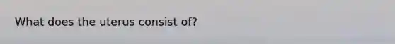 What does the uterus consist of?