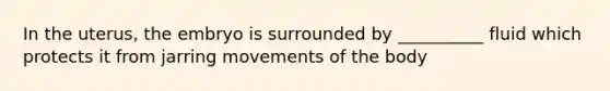 In the uterus, the embryo is surrounded by __________ fluid which protects it from jarring movements of the body