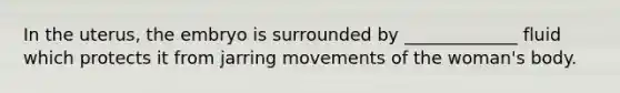 In the uterus, the embryo is surrounded by _____________ fluid which protects it from jarring movements of the woman's body.
