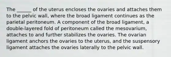 The ______ of the uterus encloses the ovaries and attaches them to the pelvic wall, where the broad ligament continues as the parietal peritoneum. A component of the broad ligament, a double-layered fold of peritoneum called the mesovarium, attaches to and further stabilizes the ovaries. The ovarian ligament anchors the ovaries to the uterus, and the suspensory ligament attaches the ovaries laterally to the pelvic wall.