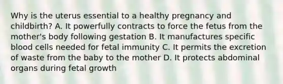 Why is the uterus essential to a healthy pregnancy and​ childbirth? A. It powerfully contracts to force the fetus from the​ mother's body following gestation B. It manufactures specific blood cells needed for fetal immunity C. It permits the excretion of waste from the baby to the mother D. It protects abdominal organs during fetal growth