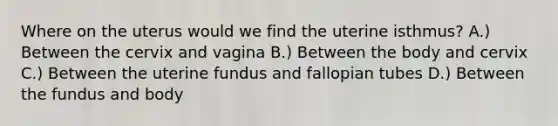 Where on the uterus would we find the uterine isthmus? A.) Between the cervix and vagina B.) Between the body and cervix C.) Between the uterine fundus and fallopian tubes D.) Between the fundus and body