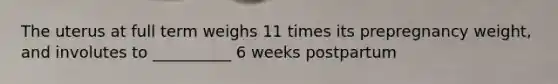 The uterus at full term weighs 11 times its prepregnancy weight, and involutes to __________ 6 weeks postpartum