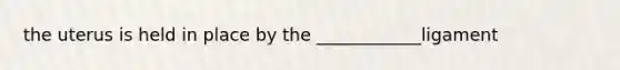 the uterus is held in place by the ____________ligament