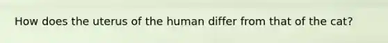 How does the uterus of the human differ from that of the cat?