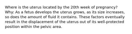 Where is the uterus located by the 20th week of pregnancy? Why: As a fetus develops the uterus grows, as its size increases, so does the amount of fluid it contains. These factors eventually result in the displacement of the uterus out of its well-protected position within the pelvic area.