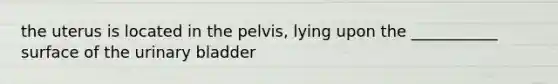 the uterus is located in the pelvis, lying upon the ___________ surface of the urinary bladder