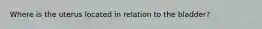 Where is the uterus located in relation to the bladder?
