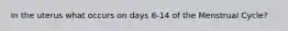 In the uterus what occurs on days 6-14 of the Menstrual Cycle?
