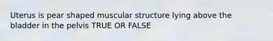 Uterus is pear shaped muscular structure lying above the bladder in the pelvis TRUE OR FALSE