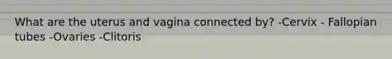 What are the uterus and vagina connected by? -Cervix - Fallopian tubes -Ovaries -Clitoris