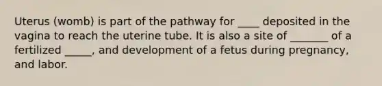 Uterus (womb) is part of the pathway for ____ deposited in the vagina to reach the uterine tube. It is also a site of _______ of a fertilized _____, and development of a fetus during pregnancy, and labor.