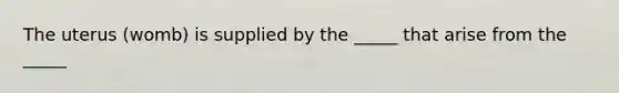 The uterus (womb) is supplied by the _____ that arise from the _____