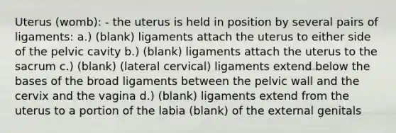 Uterus (womb): - the uterus is held in position by several pairs of ligaments: a.) (blank) ligaments attach the uterus to either side of the pelvic cavity b.) (blank) ligaments attach the uterus to the sacrum c.) (blank) (lateral cervical) ligaments extend below the bases of the broad ligaments between the pelvic wall and the cervix and the vagina d.) (blank) ligaments extend from the uterus to a portion of the labia (blank) of the external genitals