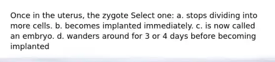 Once in the uterus, the zygote Select one: a. stops dividing into more cells. b. becomes implanted immediately. c. is now called an embryo. d. wanders around for 3 or 4 days before becoming implanted