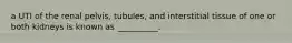 a UTI of the renal pelvis, tubules, and interstitial tissue of one or both kidneys is known as __________.