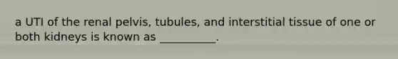 a UTI of the renal pelvis, tubules, and interstitial tissue of one or both kidneys is known as __________.