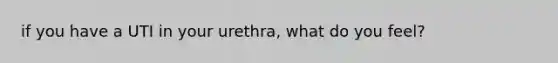 if you have a UTI in your urethra, what do you feel?