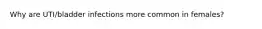 Why are UTI/bladder infections more common in females?