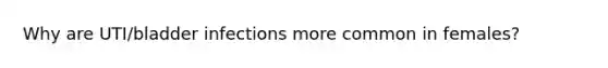 Why are UTI/bladder infections more common in females?