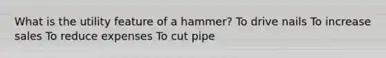 What is the utility feature of a hammer? To drive nails To increase sales To reduce expenses To cut pipe