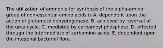 The utilization of ammonia for synthesis of the alpha-amino group of non-essential <a href='https://www.questionai.com/knowledge/k9gb720LCl-amino-acids' class='anchor-knowledge'>amino acids</a> is A. dependent upon the action of glutamate dehydrogenase. B. achieved by reversal of the urea cycle. C. mediated by carbamoyl phosphate. D. effected through the intermediate of carbamino acids. E. dependent upon the intestinal bacterial flora.