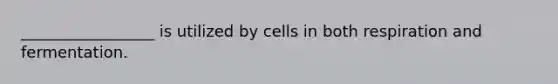 _________________ is utilized by cells in both respiration and fermentation.