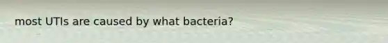 most UTIs are caused by what bacteria?