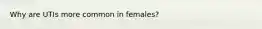 Why are UTIs more common in females?