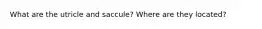 What are the utricle and saccule? Where are they located?