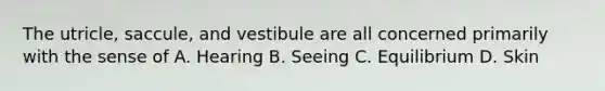 The utricle, saccule, and vestibule are all concerned primarily with the sense of A. Hearing B. Seeing C. Equilibrium D. Skin