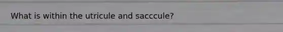 What is within the utricule and sacccule?