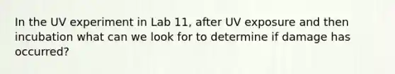 In the UV experiment in Lab 11, after UV exposure and then incubation what can we look for to determine if damage has occurred?