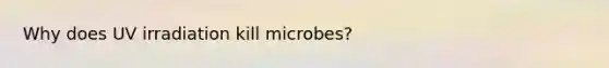 Why does UV irradiation kill microbes?