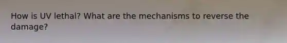 How is UV lethal? What are the mechanisms to reverse the damage?