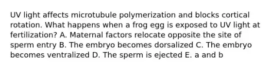 UV light affects microtubule polymerization and blocks cortical rotation. What happens when a frog egg is exposed to UV light at fertilization? A. Maternal factors relocate opposite the site of sperm entry B. The embryo becomes dorsalized C. The embryo becomes ventralized D. The sperm is ejected E. a and b