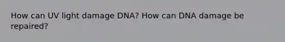 How can UV light damage DNA? How can DNA damage be repaired?